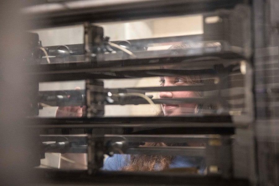 Student looking thought windtunnel