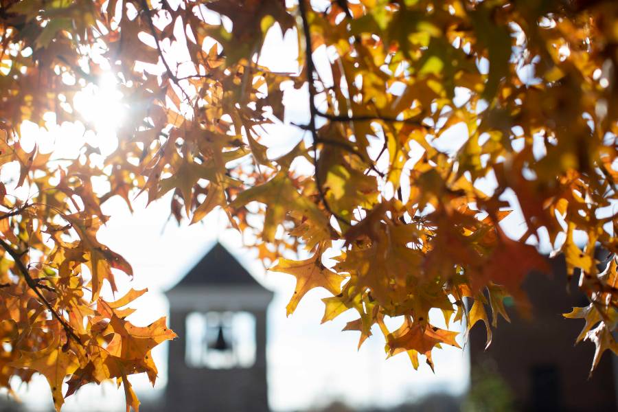 Bell Tower in the fall