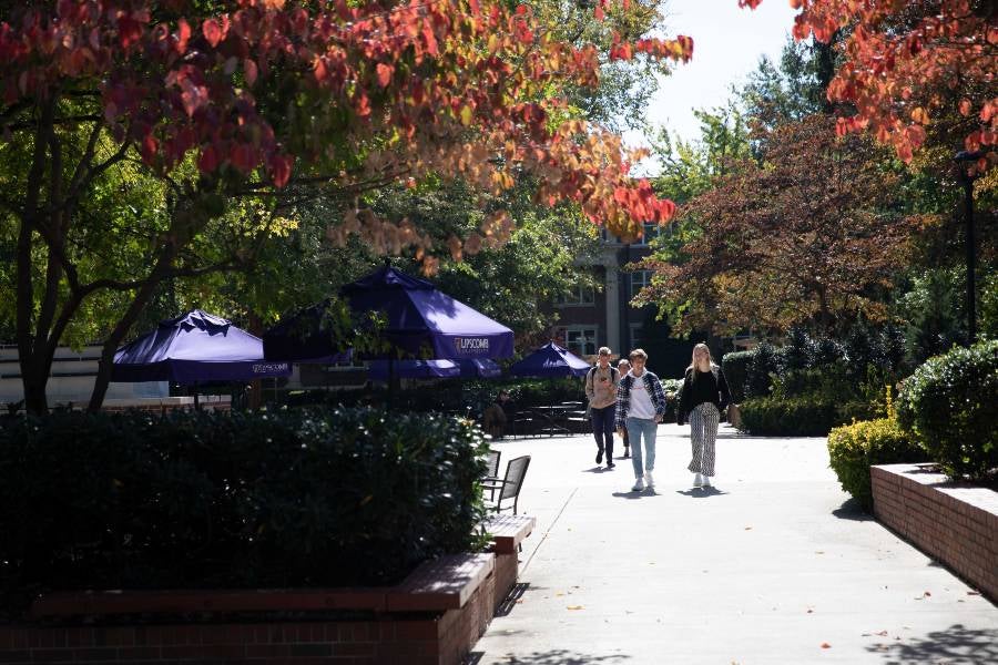 Bison Square in the fall