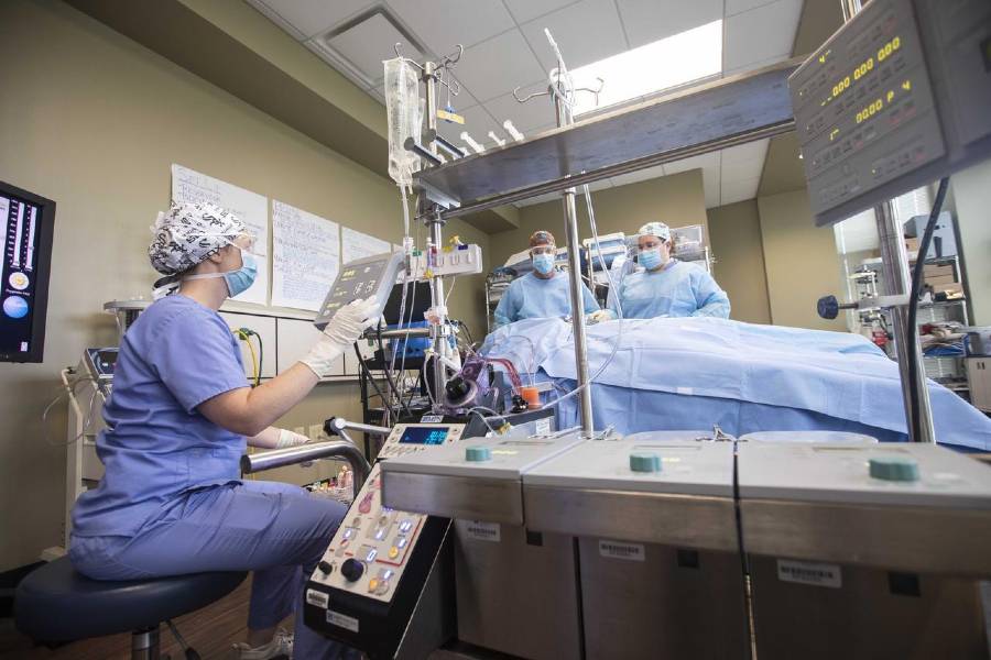 Faculty and students in Lipscomb's perfusion lab. 