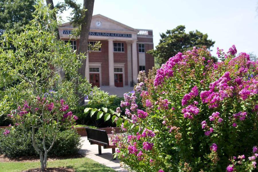 Bison Square in the spring. 