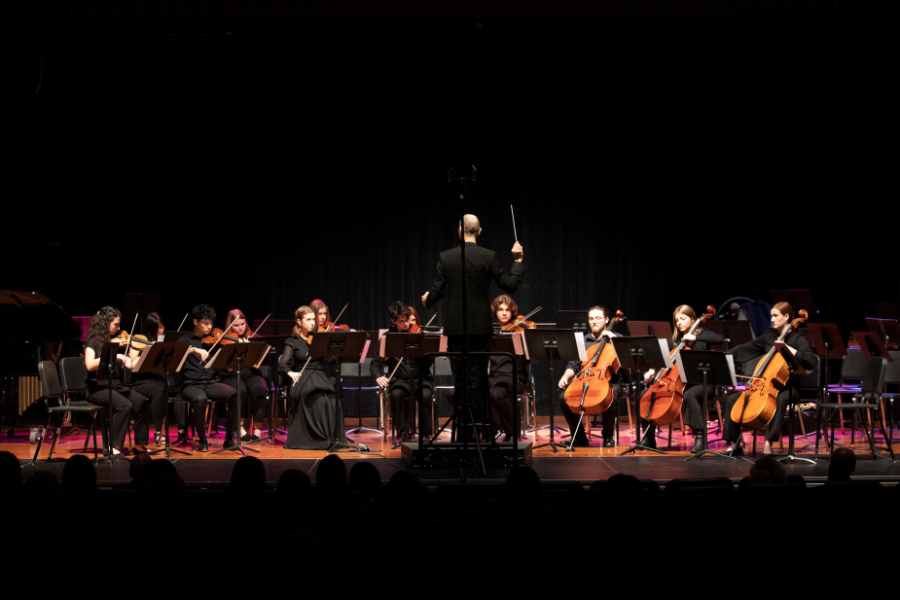Wind Ensemble with Chamber Orchestra Concert