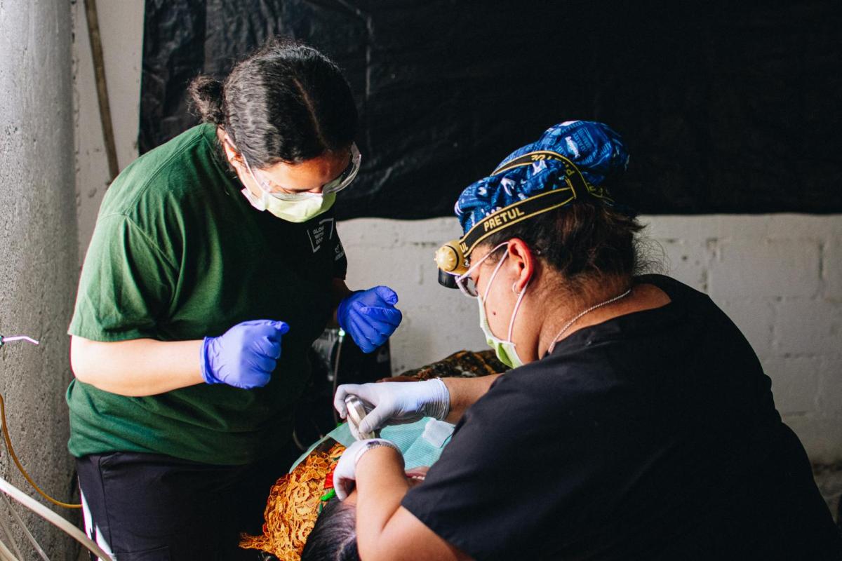 Lipscomb student assists dentist in Guatemala
