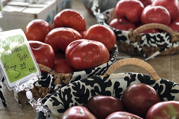 A selection of tomatoes in multiple different baskets