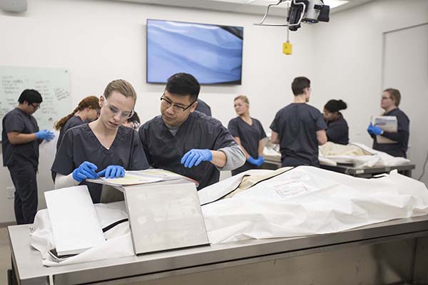 Physician Assistant students observe cadavers in a lab