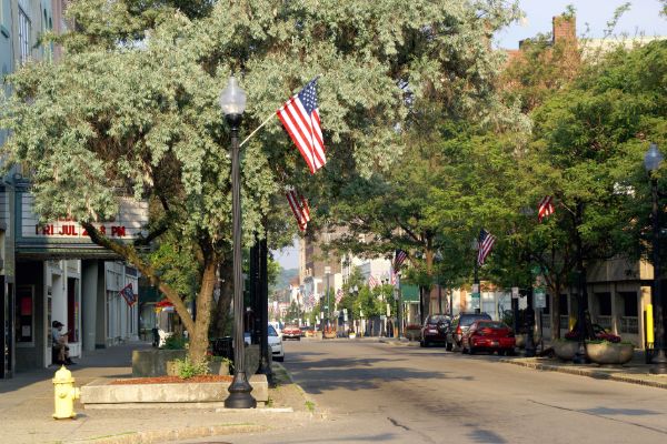 Downtown street with trees in rural town.