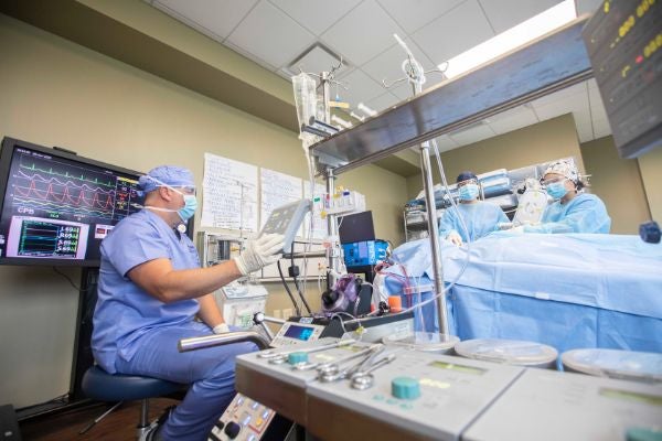 Perfusion students working in the lab