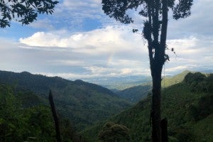 View of lush mountains and a rainbow.