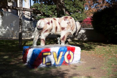 Bison painted for Campus Veterans Organization