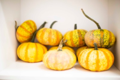 A collection of small pumpkins