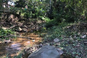 Honduran Bridge site