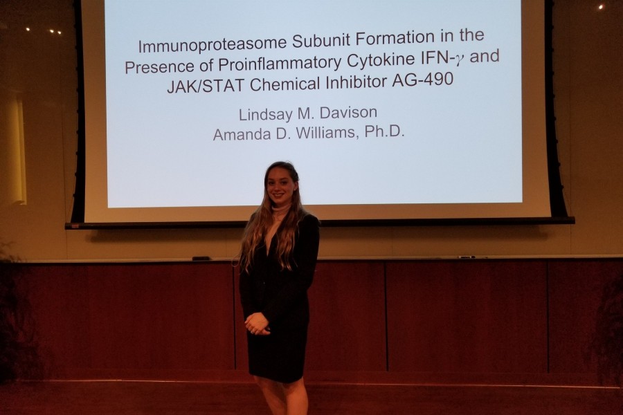Lindsay Davison Presentation