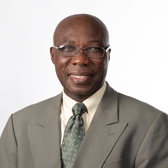 A photo of Dr. Opoku-Duah