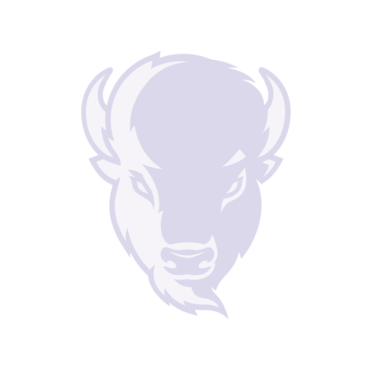 bison silhouette 