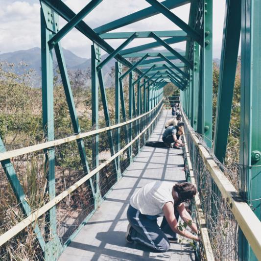 Engineering students complete work on a bridge.