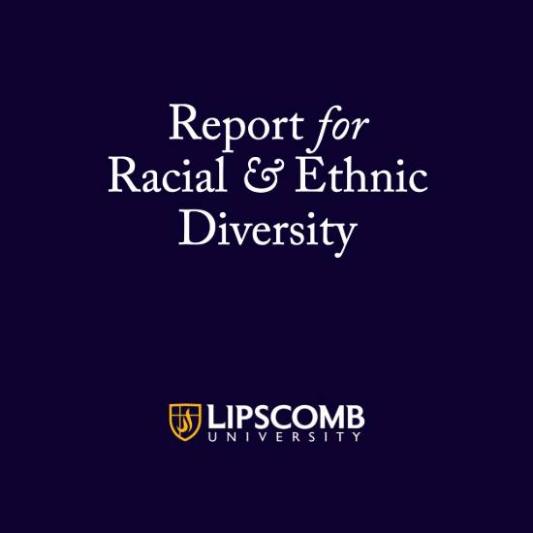 Report for racial and ethnic diversity