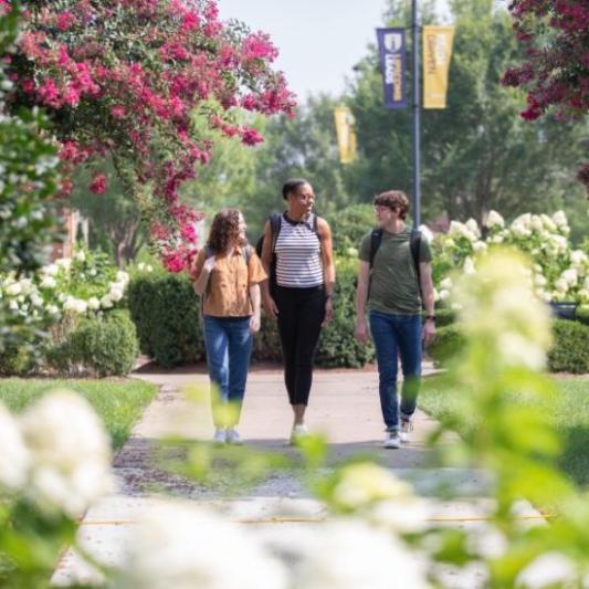 Students walking outside on-campus