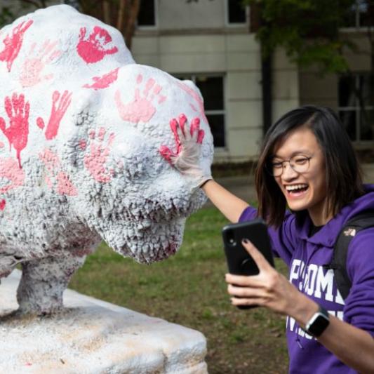 A student painting the Bison