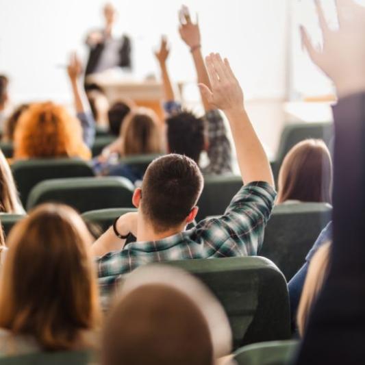 Students raising their hands