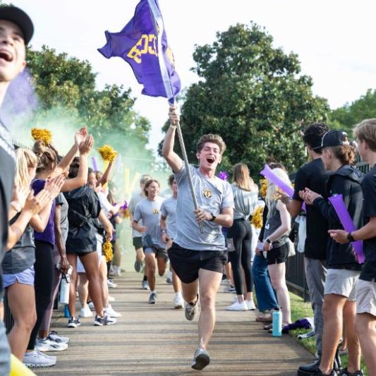 Running of the Bison