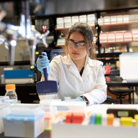 Pharmacy student working in the lab