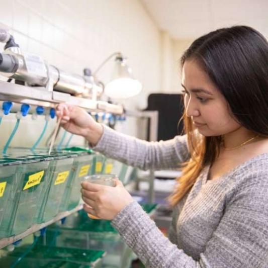 student in lab