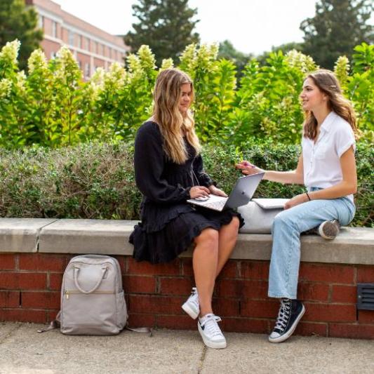 Bison Student Entrepreneurs Organization