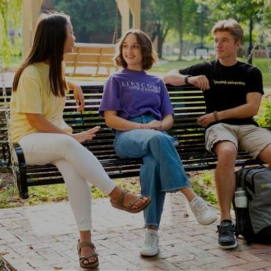 Transfer Students sitting on a swing on Nashville Campus
