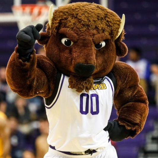 Lou Bison