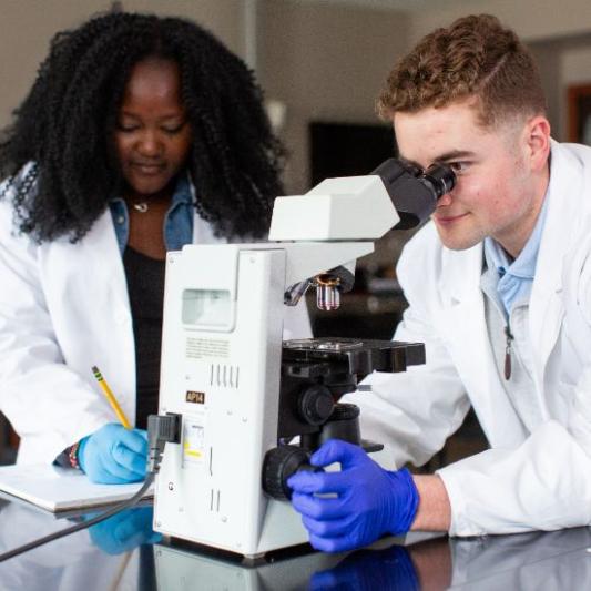 Students in lab